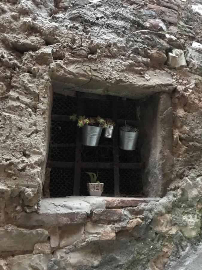 La Casa Di Zoe Apartment Campiglia Marittima Bagian luar foto